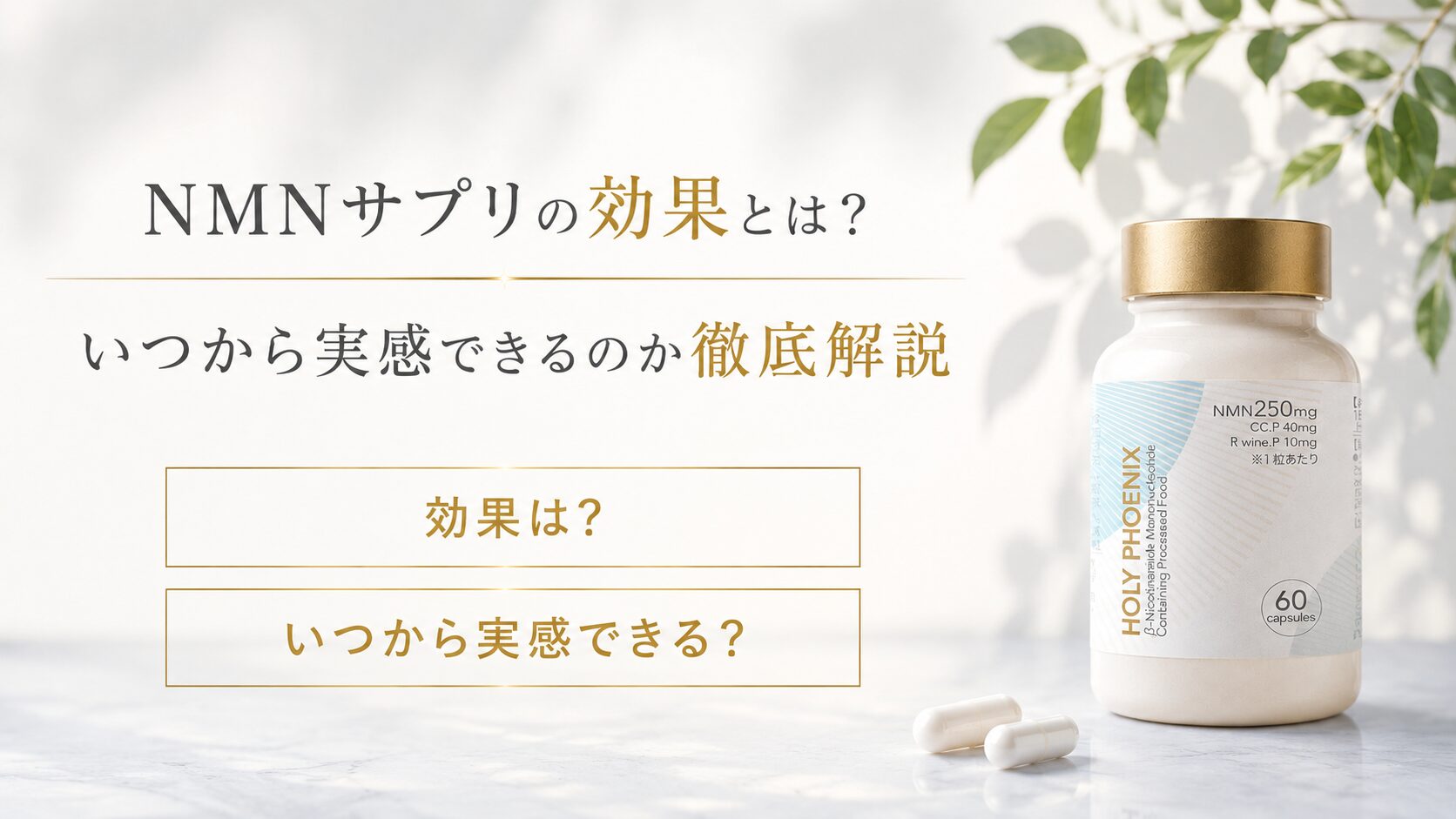 NMNサプリの効果とは？いつから実感できるのか徹底解説