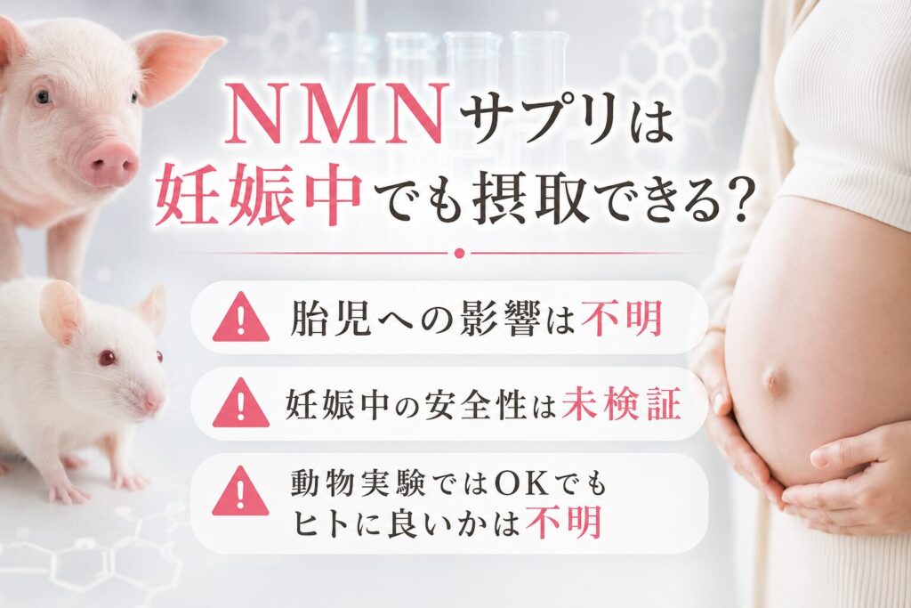 NMNサプリは妊娠中でも摂取できる？・胎児への影響は不明 ・妊娠中の安全性は未検証 ・動物実験ではOKでもヒトに良いかは不明