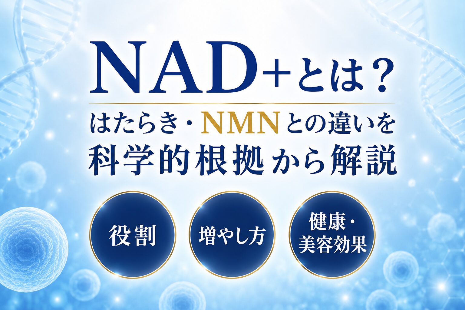 NAD+とは？ はたらき・NMNとの違いを科学的根拠から解説