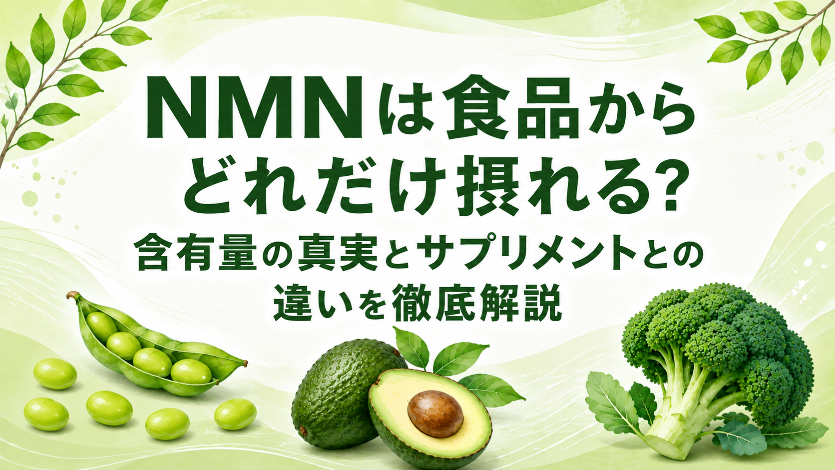 「NMNは食品からどれだけ摂れる? 含有量の真実とサプリメントとの違いを徹底解説」のタイトル画像